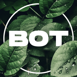 Création et gestion de bot Discord personnalisé